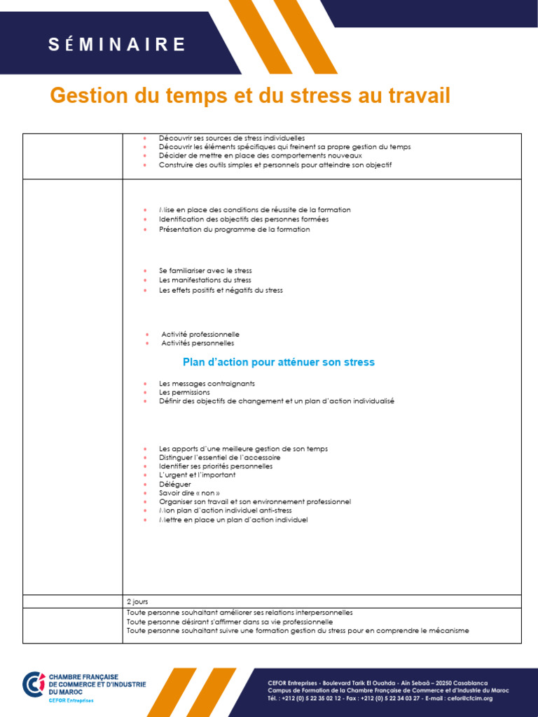 Formation Gestion du Stress au Travail | PDF