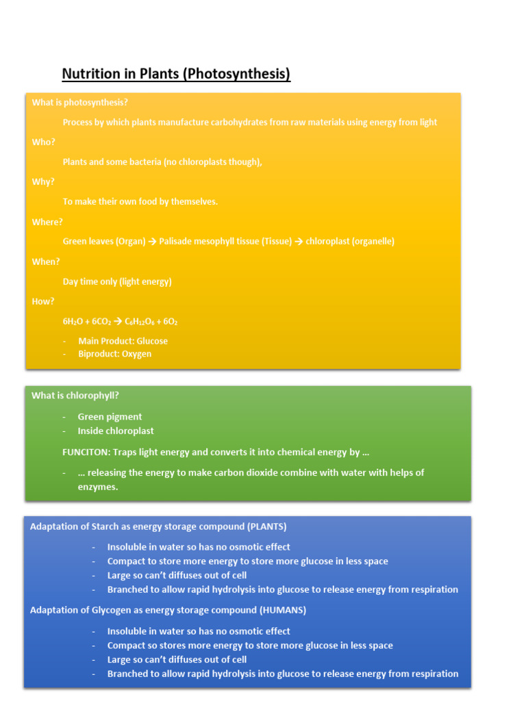 Plant_nutrition | PDF | Photosynthesis | Carbon Dioxide