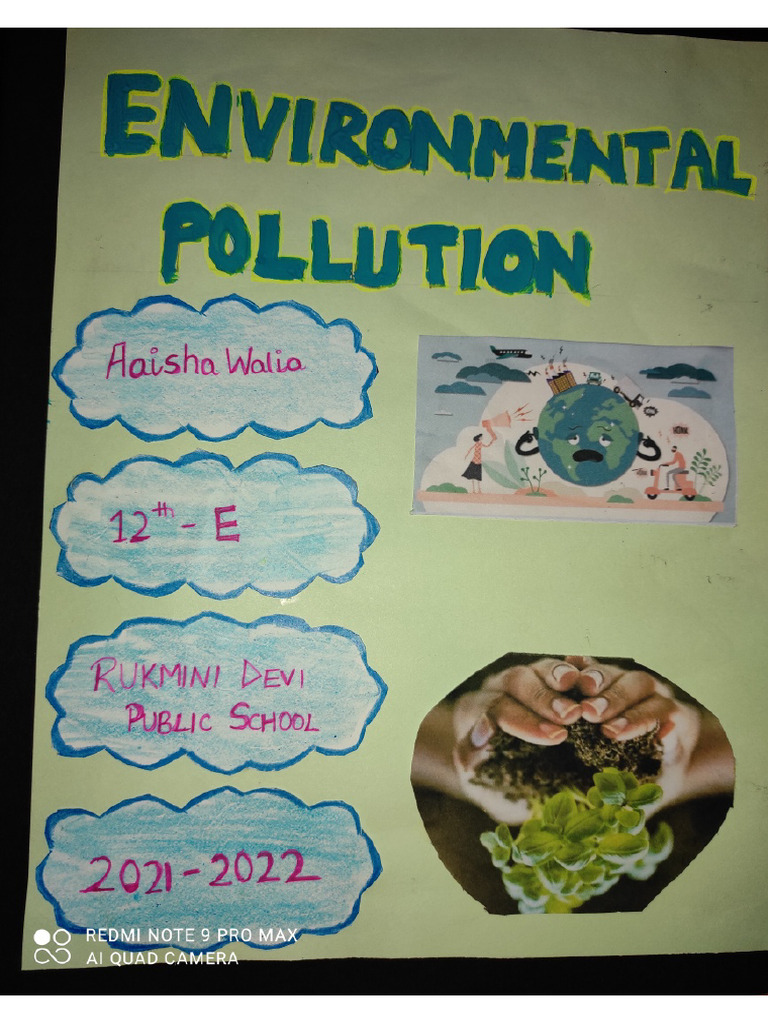English Project Environmental Pollution - Aaisha Walia (Admn. No 5738 ...