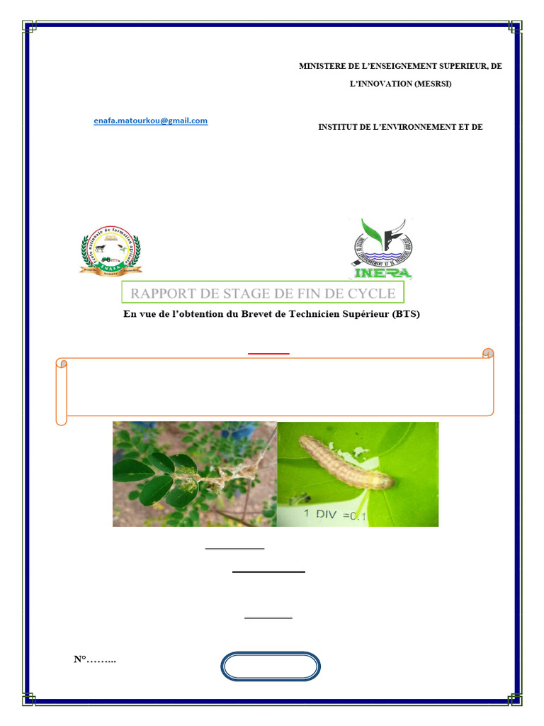 Effets des bio insecticides sur Moringa | PDF | Pesticide | Agriculture ...