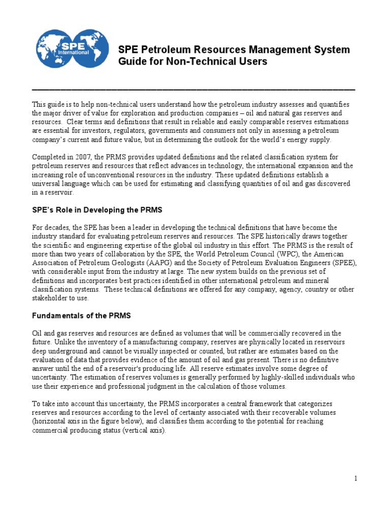 PRMS Guide Non Tech | PDF