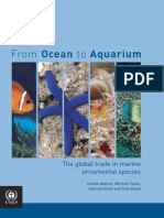 Download Aquarium by Daisy SN8111184 doc pdf
