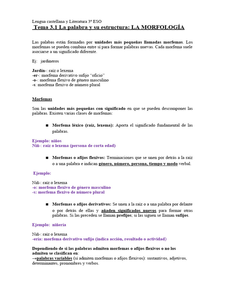 Estructura de la palabra y morfología | PDF | Palabra | Numero Gramatical