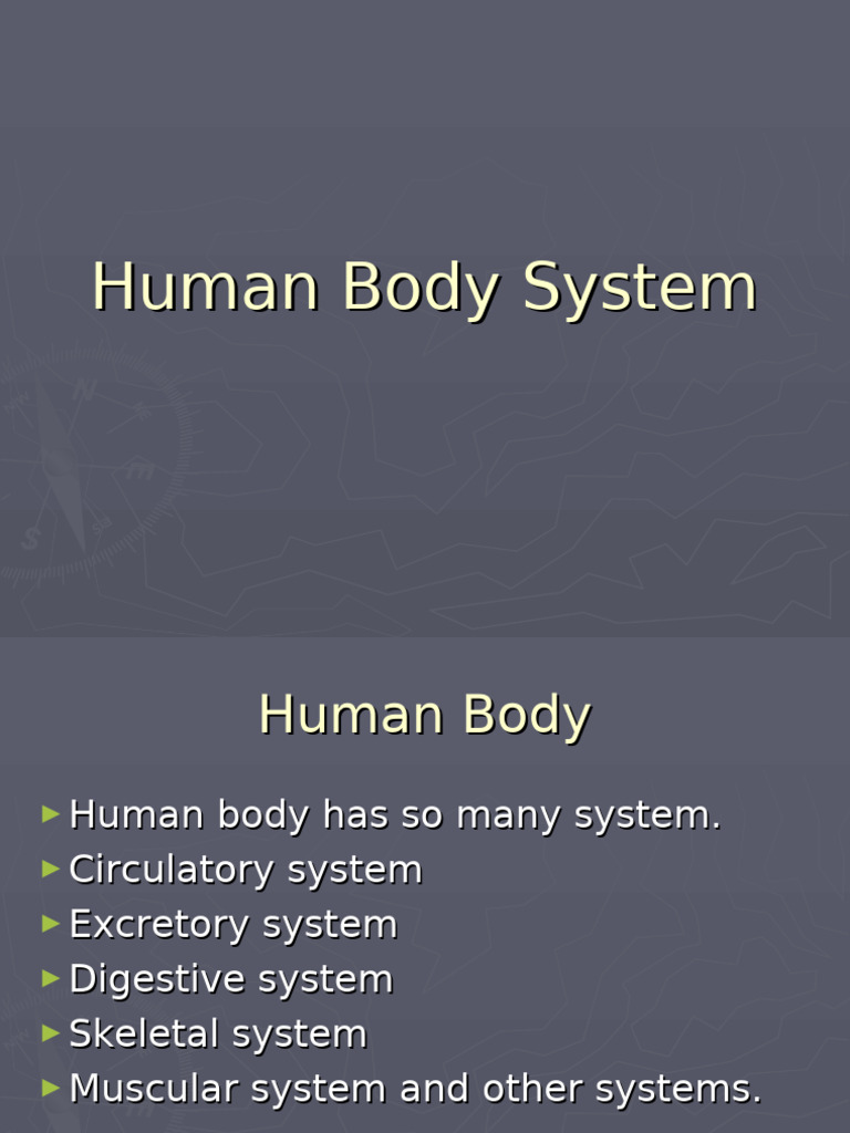Overview of Human Body Systems | PDF