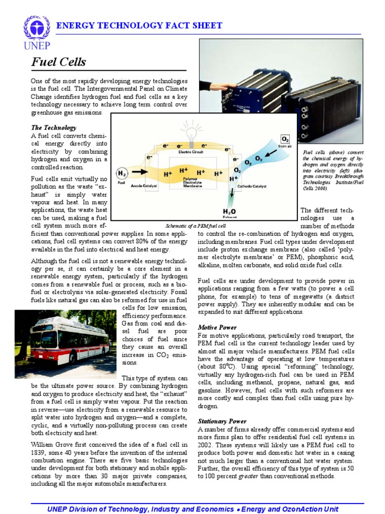 Fuel Cell | PDF