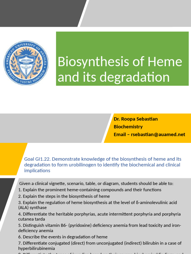 Heme Biosynthesis and Degradation Overview | PDF
