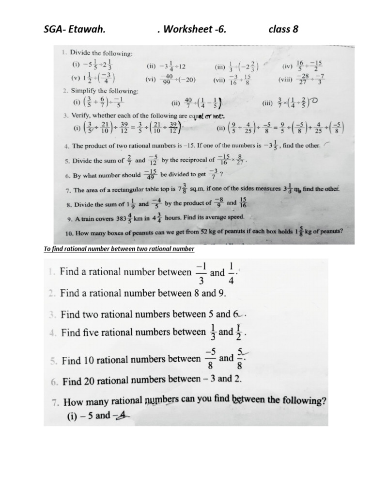 Class 8 Worksheet 6 | PDF