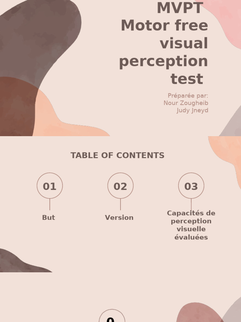 Test MVPT-4 de perception visuelle | PDF