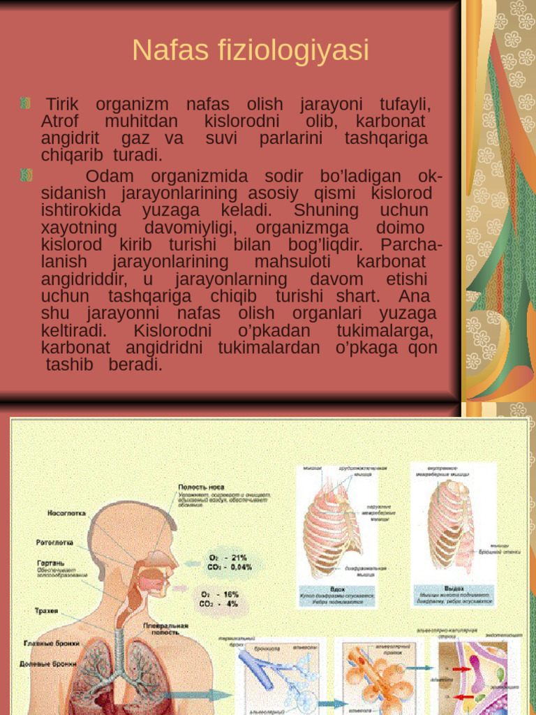 Yosh osiyolik ayollar shahvoniy