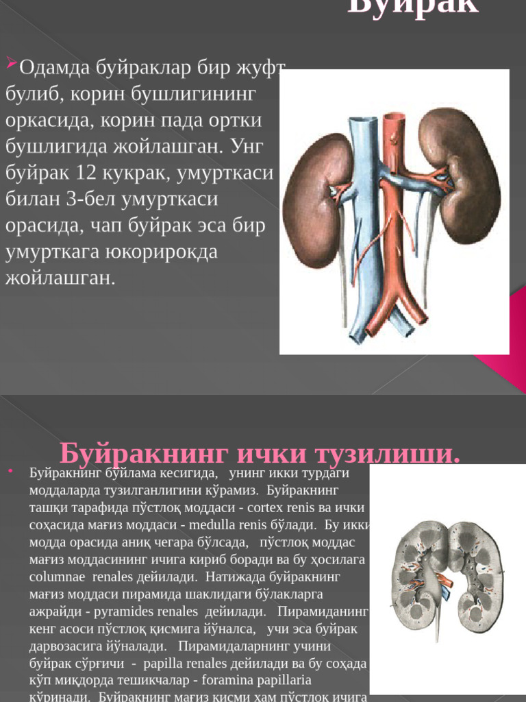 Onlayn porno: ginekologdagi osiyolik ayol