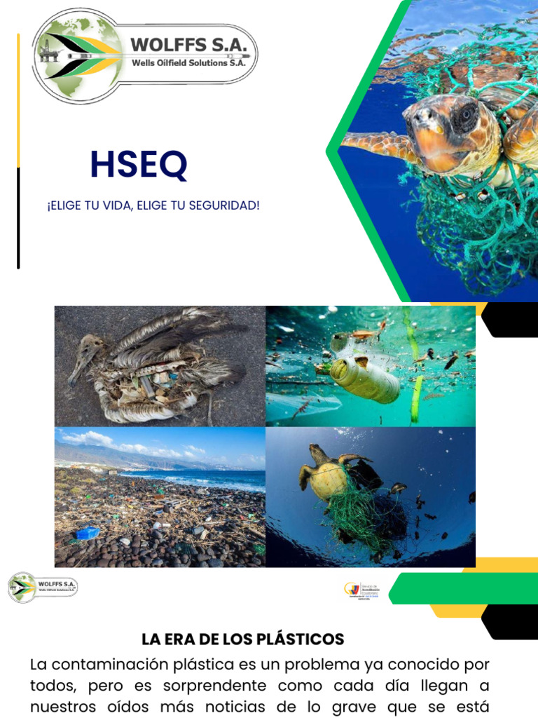 Consecuencias Del Consumo de Plástico | PDF | El plastico | Contaminación