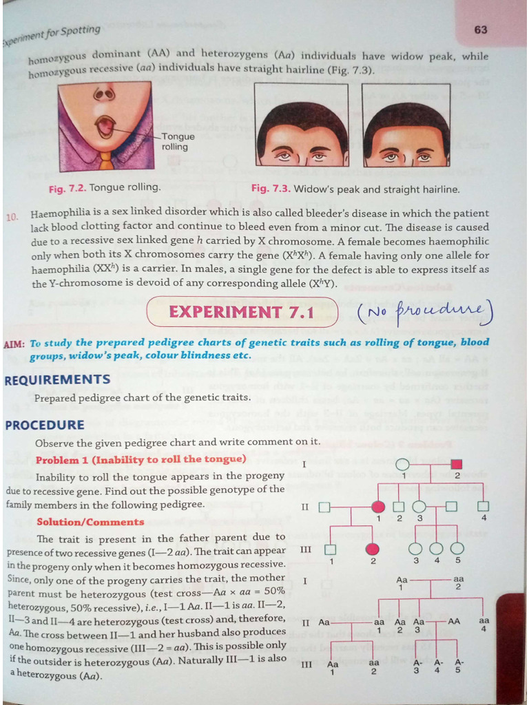 Bio Expt 11 To 16 | PDF