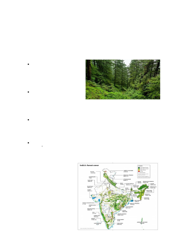 Forest Society and Colonialism PDF | PDF | Forests | Deforestation