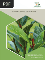 Velosipedda yalangoch video