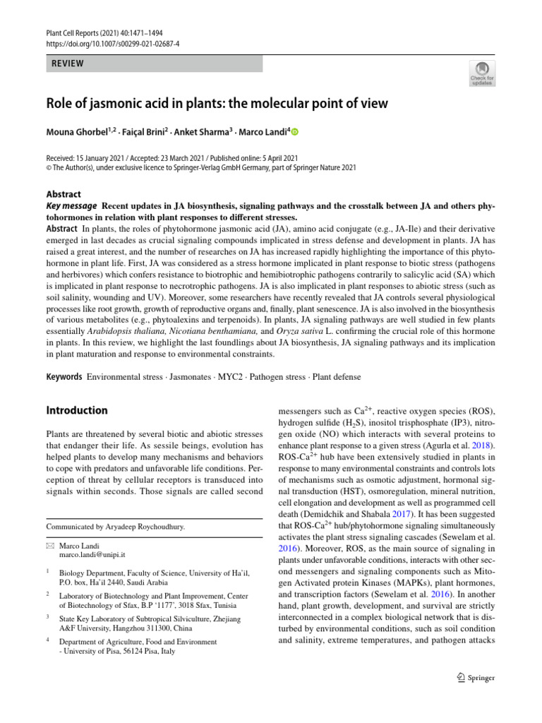 Jasmonic Acid's Role in Plant Stress Responses | PDF | Arabidopsis ...