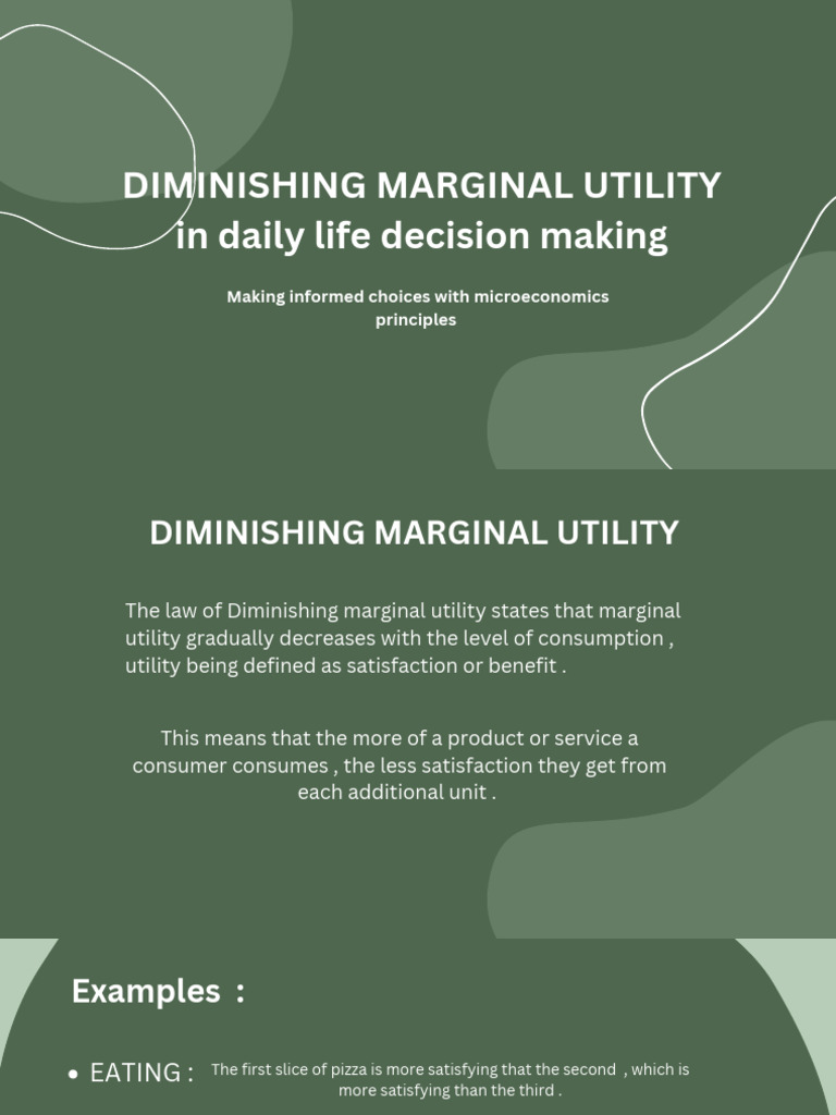 Diminishing Marginal Utility in daily life decision making_20241221 ...
