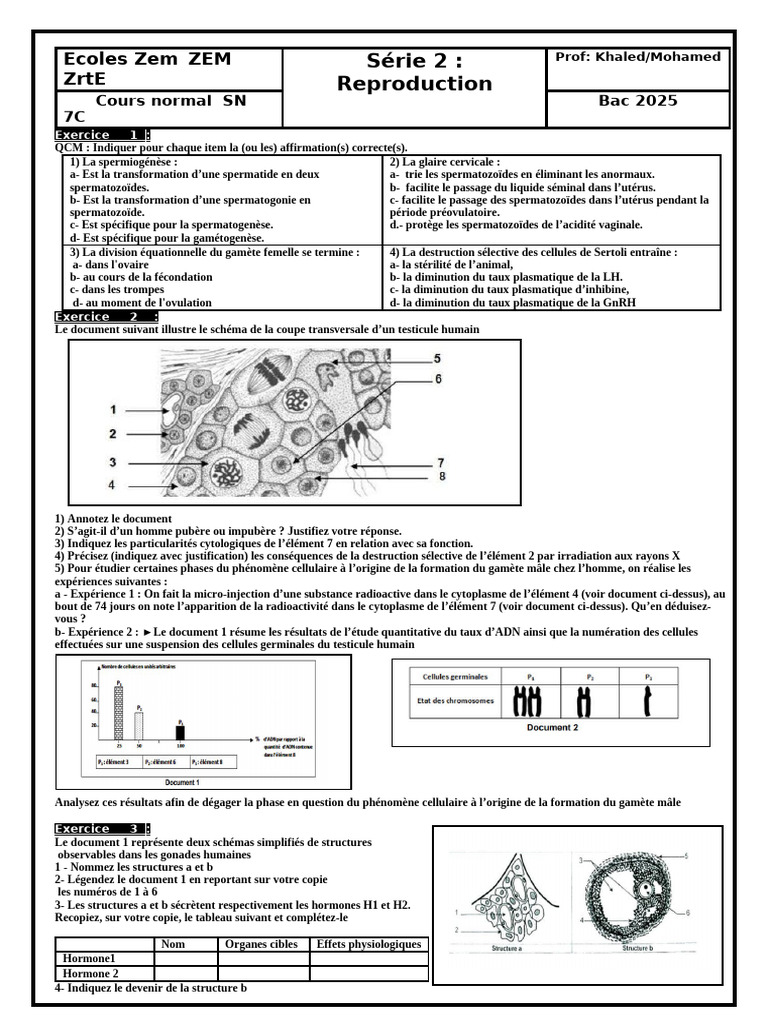 Série 2 7C CN | PDF | Cellule (Biologie) | Testicule