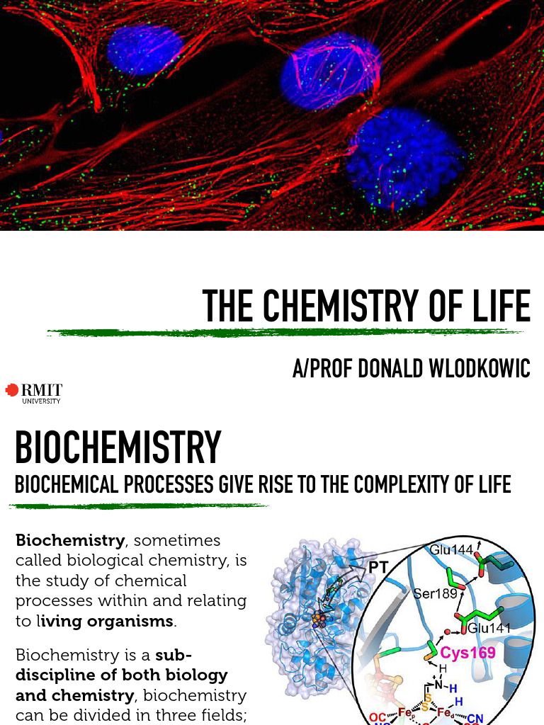 Week+1+Lecture | PDF | Cell (Biology) | Chemical Bond