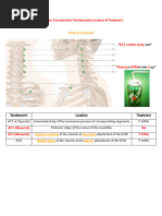 Sacral OMM Diagnosis Techniques | PDF | Anatomical Terms Of Motion ...