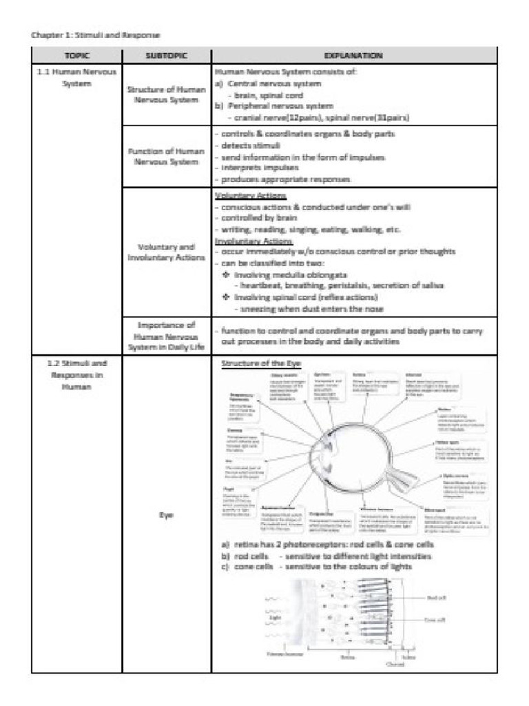 Science Form 3 (Notes) - 20241115_202354 | PDF