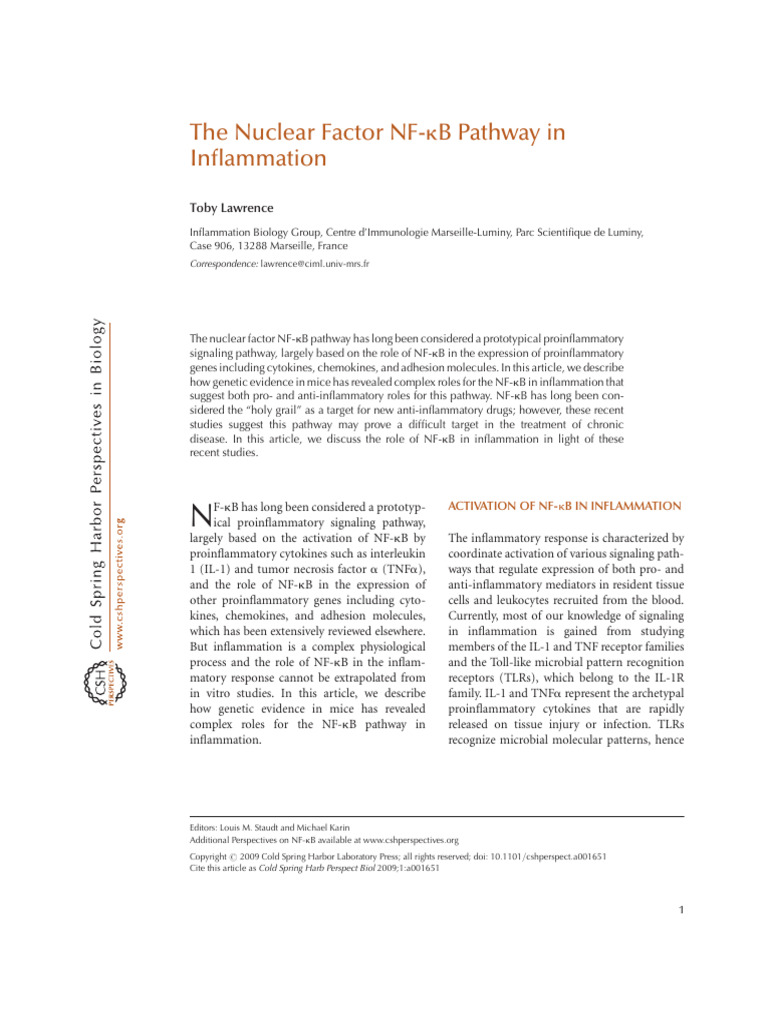 The Nuclear Factor NF-kappaB Pathway in Inflammation | PDF | Nf κb ...