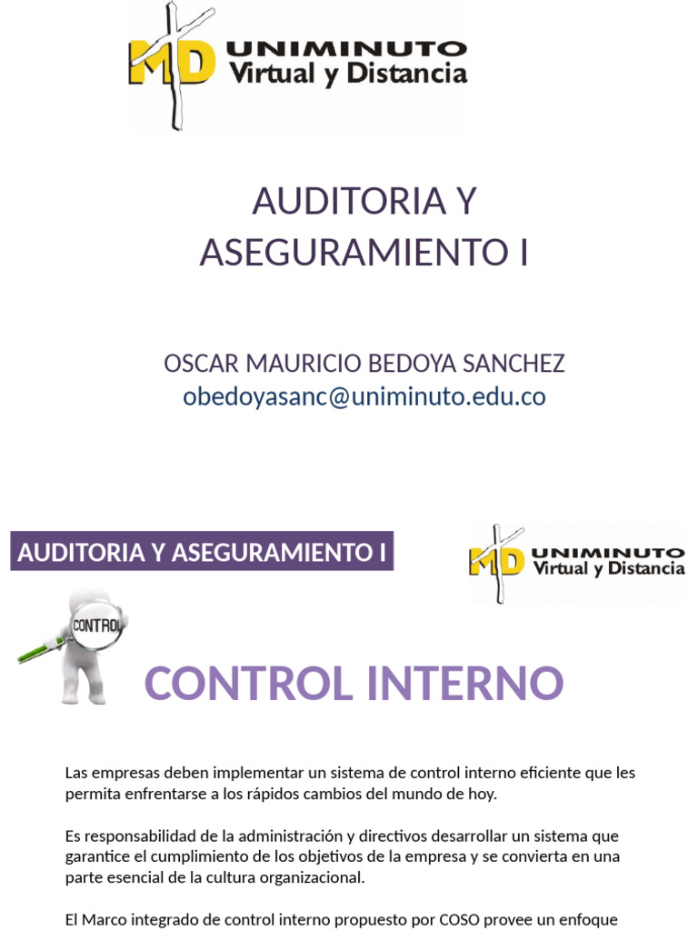 Control Interno y Modelo COSO 2013 | PDF | Auditoría | Business