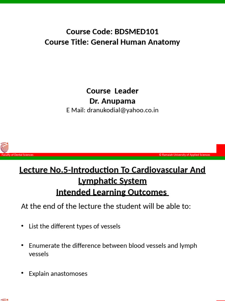 Cardiovascular & Lymphatic System Overview | PDF | Lymph | Artery