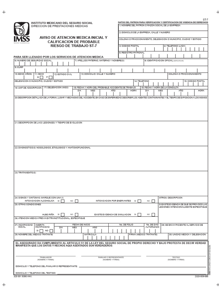 Formato ST7 09ene08 | PDF