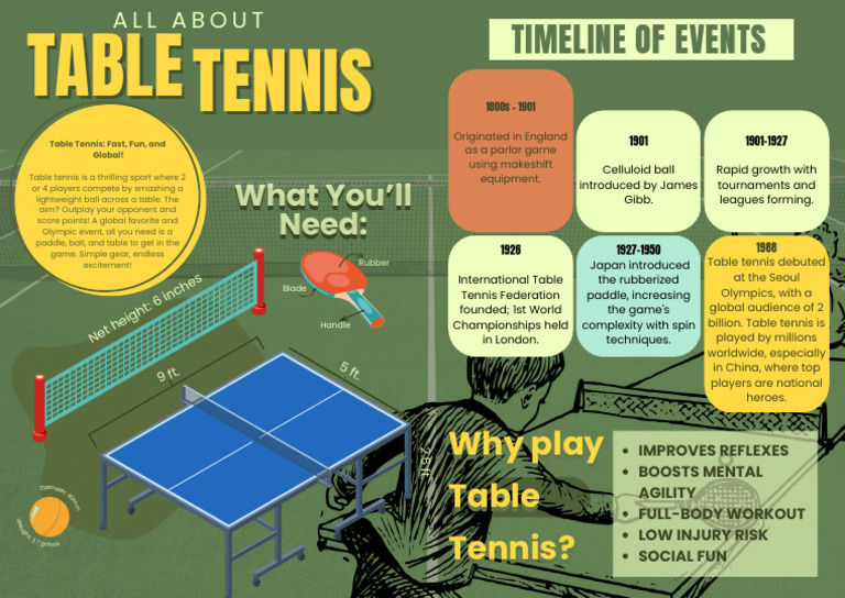 Hannah - Infographic | PDF | Table Tennis | Individual Sports