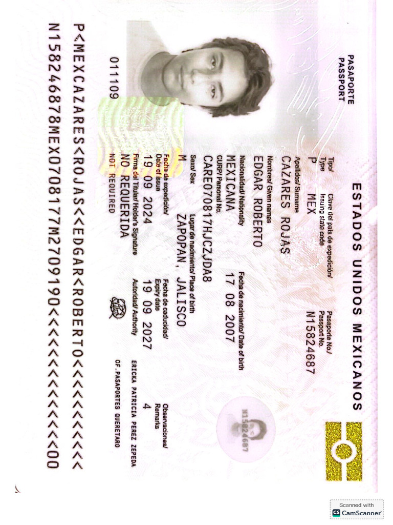 Pasaporte Menor de Edad | PDF