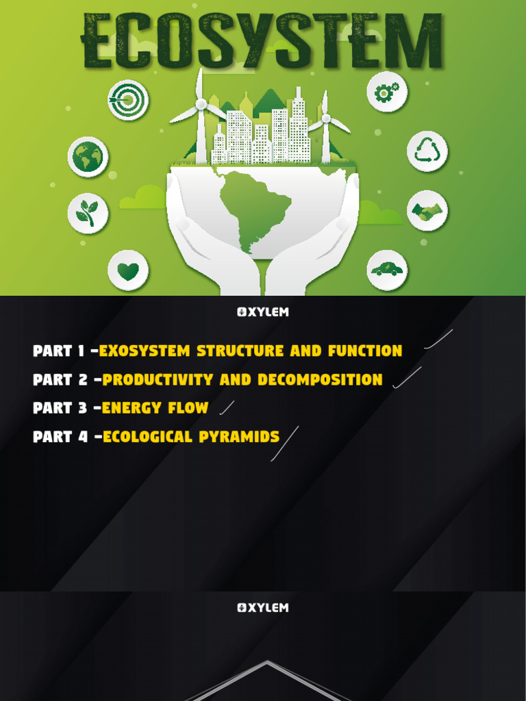 Ecosystem | PDF | Primary Production | Food Web