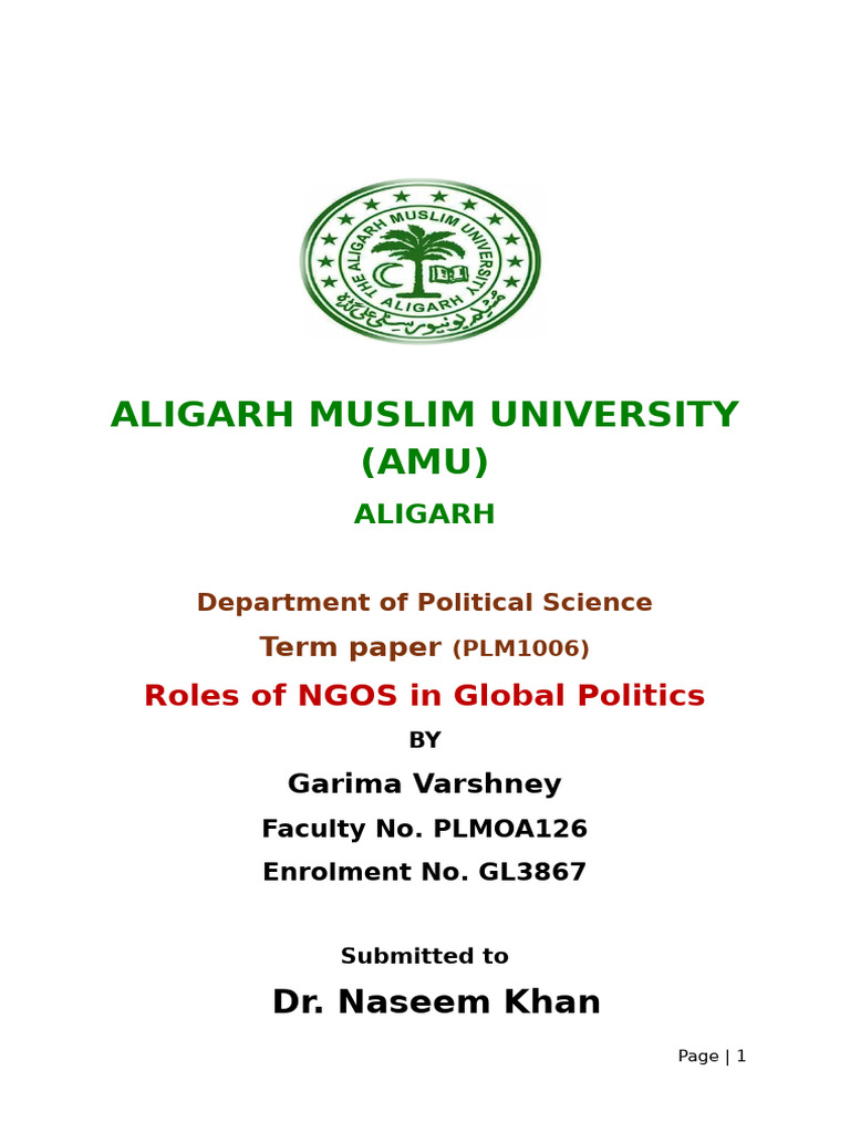 NGO Roles in Global Politics Explained | PDF | Non Governmental ...