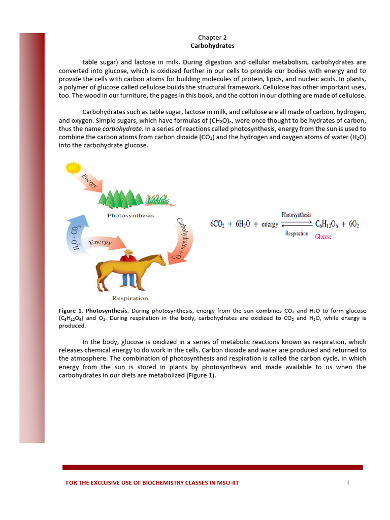 Carbohydrates: Structure and Function | PDF | Carbohydrates | Glucose