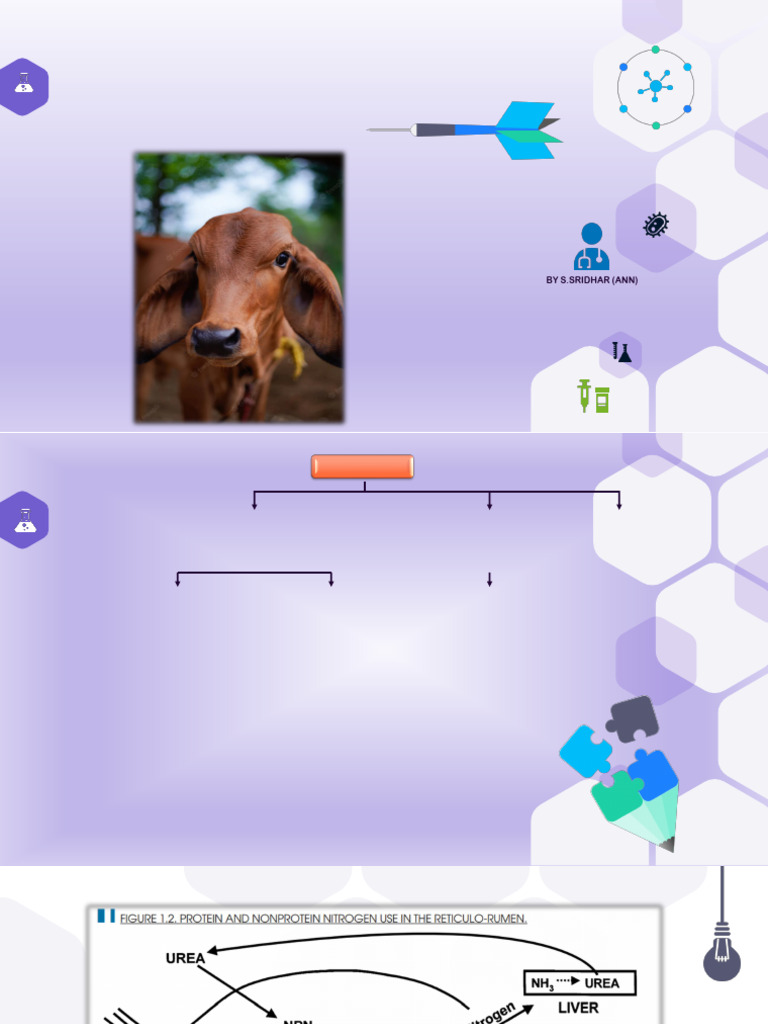 rdp-and-udp-kinetics-in-ruminant-nutrition-1734793003-pdf