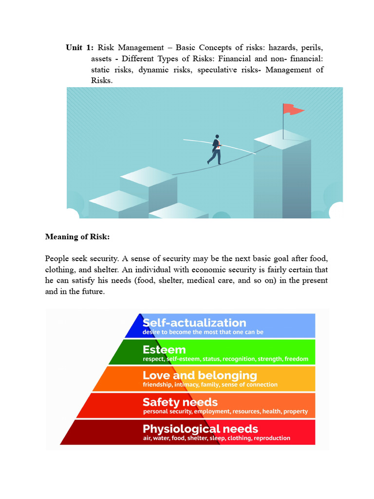 Understanding Risk Management Basics | PDF | Insurance | Risk