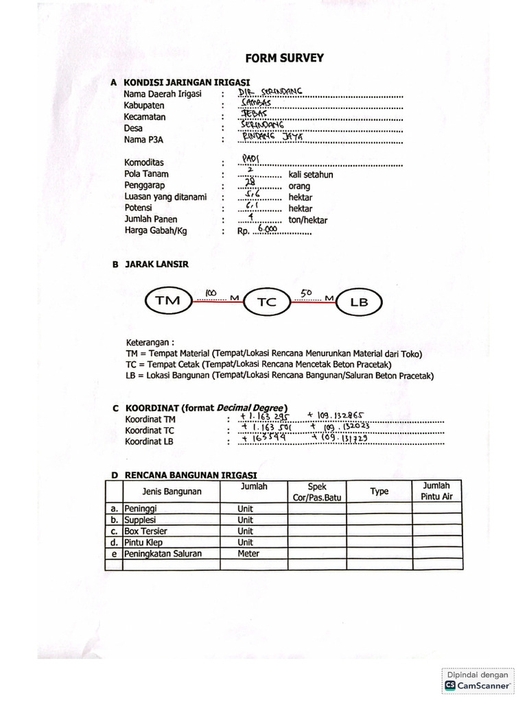Form Survey | PDF