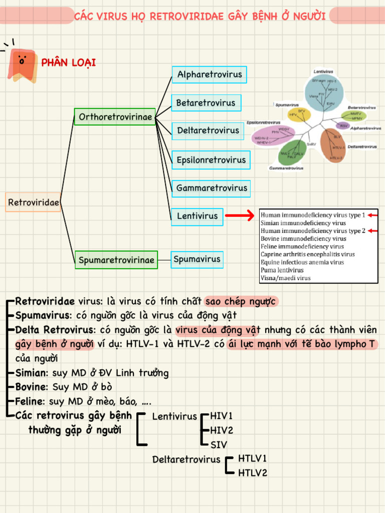 Họ Retroviridae, Virus Ebola | PDF