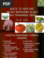 Download Hidup Sehat Cara Alami by Abdoel Aziz Jaelany SN81146029 doc pdf