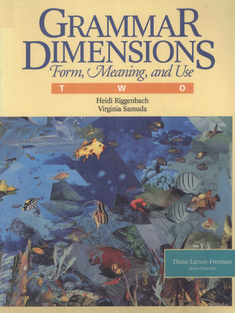 Grammar Dimensions: Form and Meaning | PDF