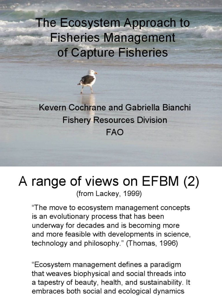 Ecosystem Approach to Fisheries Management | PDF | Ecosystem | Biodiversity