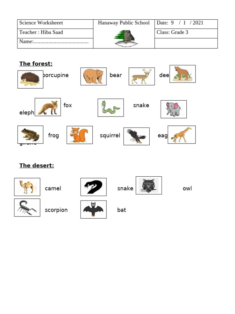 Gr3 Animals Pdf