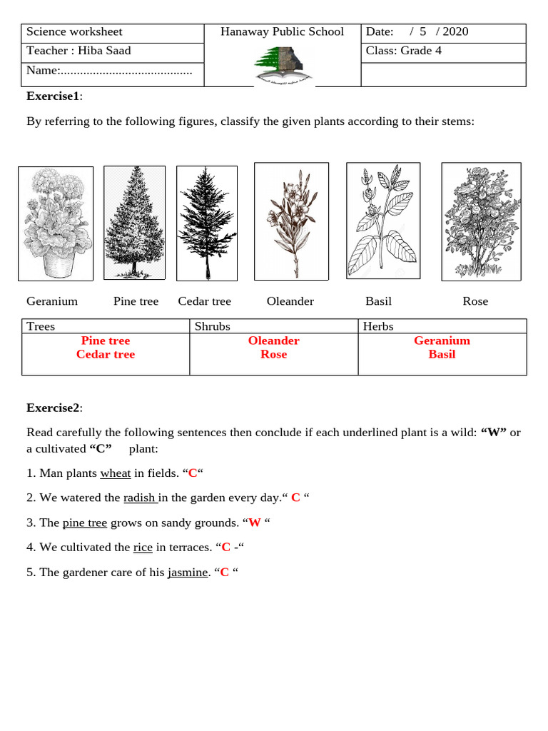 trees shrubs herbs | PDF