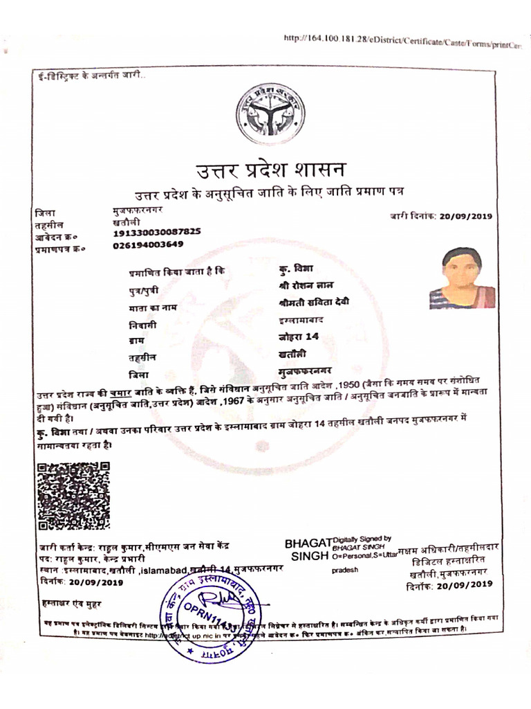 CA Certificate | PDF