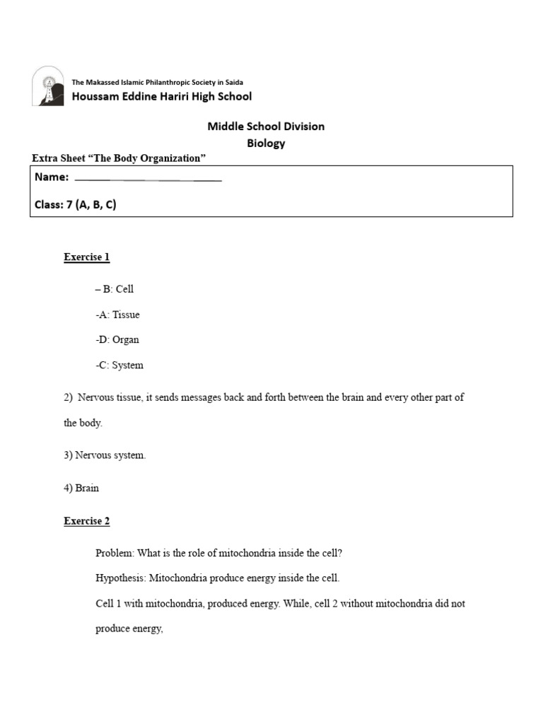 Extra Sheet Body Orgamization - Answers | PDF