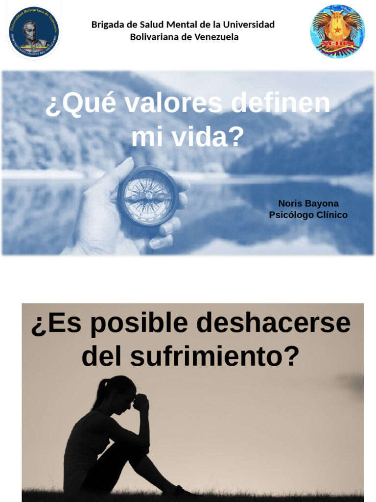 Qué Valores Definen Mi Vida | PDF