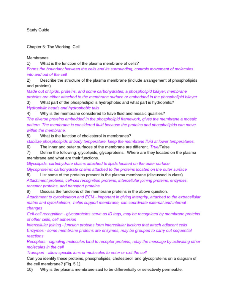 Biology 103 Final Exam Study Guide - FULL | PDF | Meiosis | Cellular ...