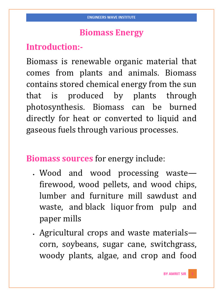 Biomass Energy: Conversion Methods Explained | PDF | Biodiesel | Biofuel