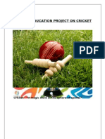 Physical Education Project On Cricket