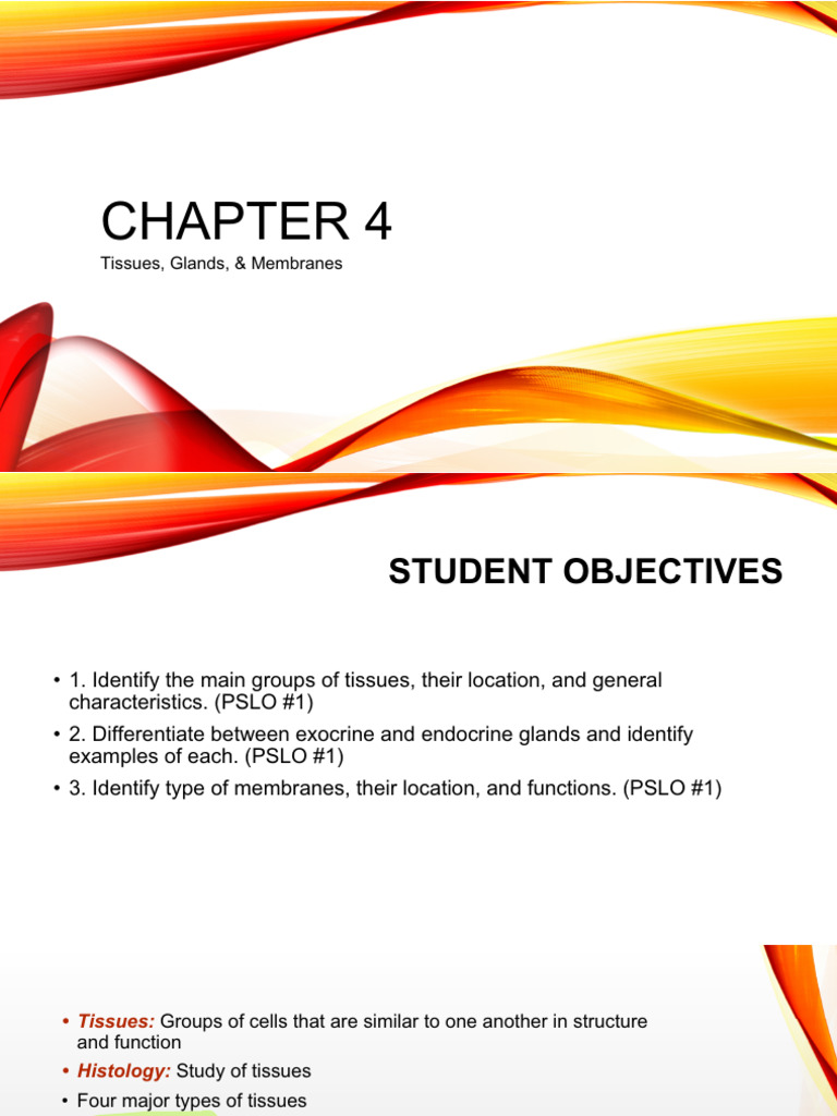 Chapter+4 +Tissues%2C+Glands%2C+and+Membranes | PDF