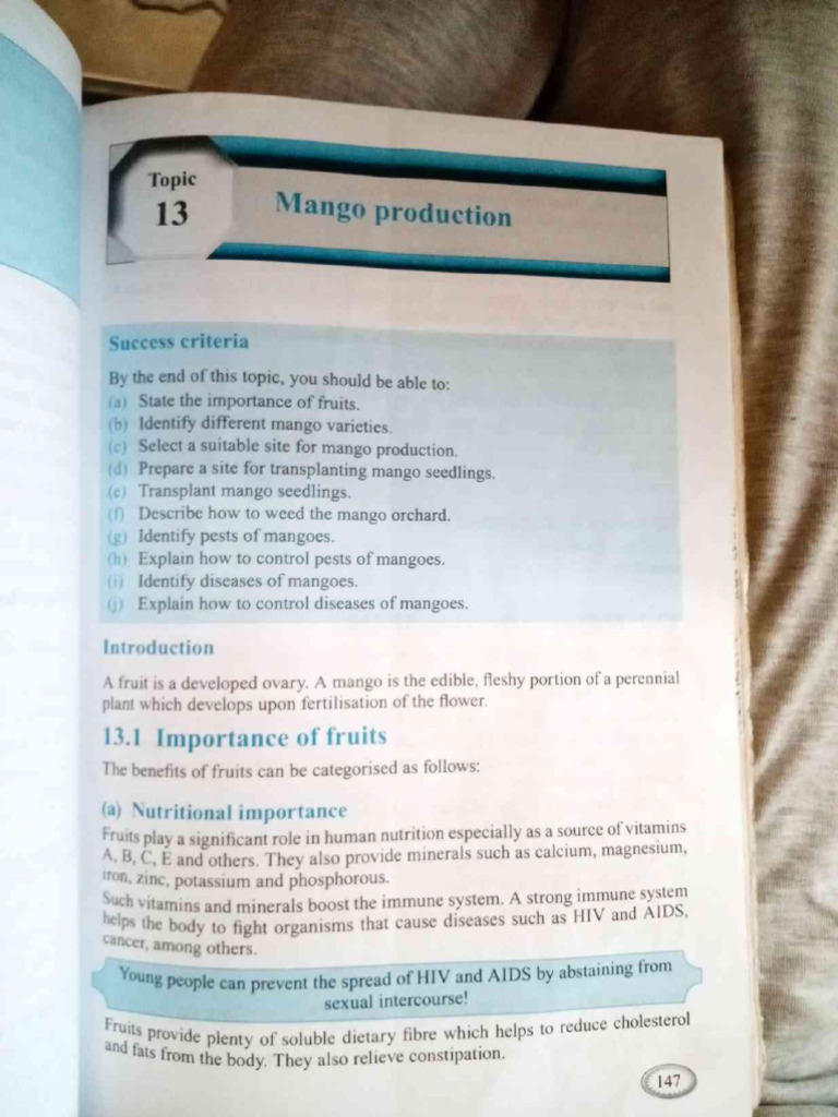 Topic 13 - Mango Production | PDF
